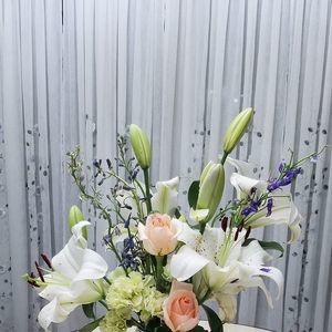 Meet your Posher, Sookhee